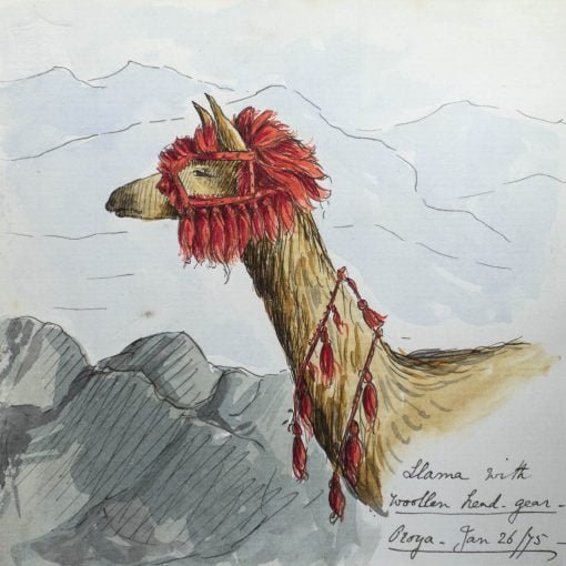 Letters home from the Peruvian Sierra