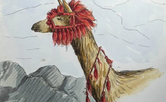 Letters home from the Peruvian Sierra